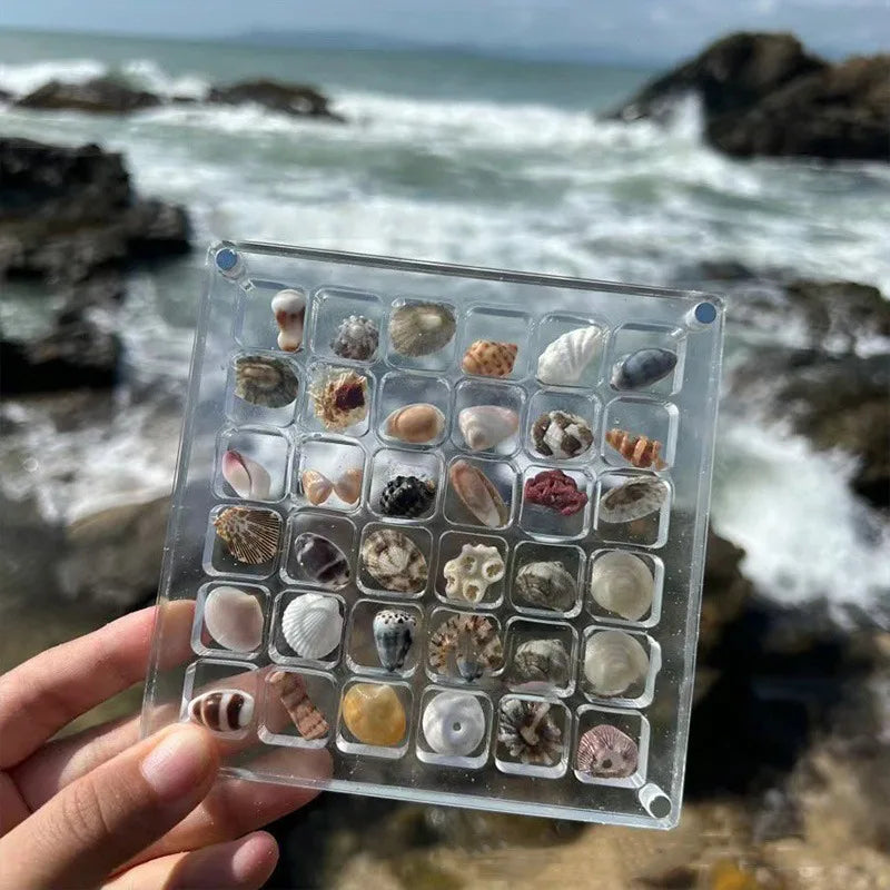 Seashell Date Idea Box