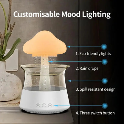 Rain Humidifier