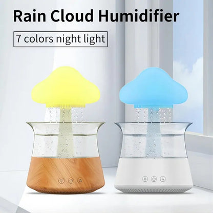 Rain Humidifier